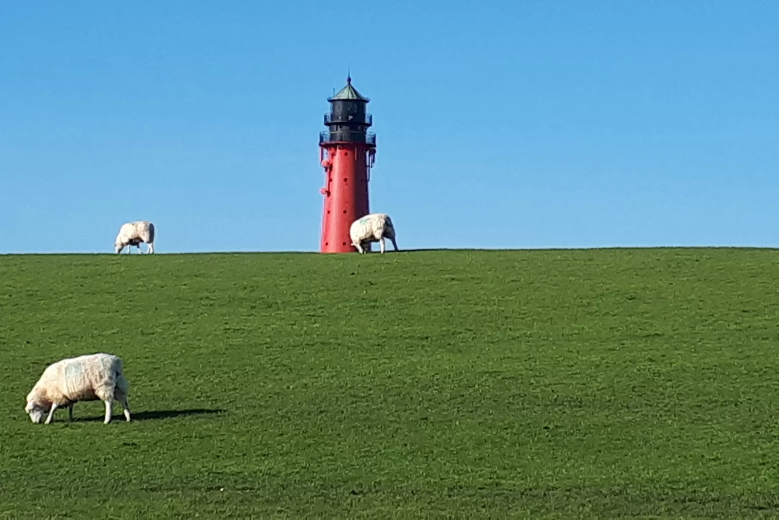 heiraten-auf-dem-leuchtturm-pellworm