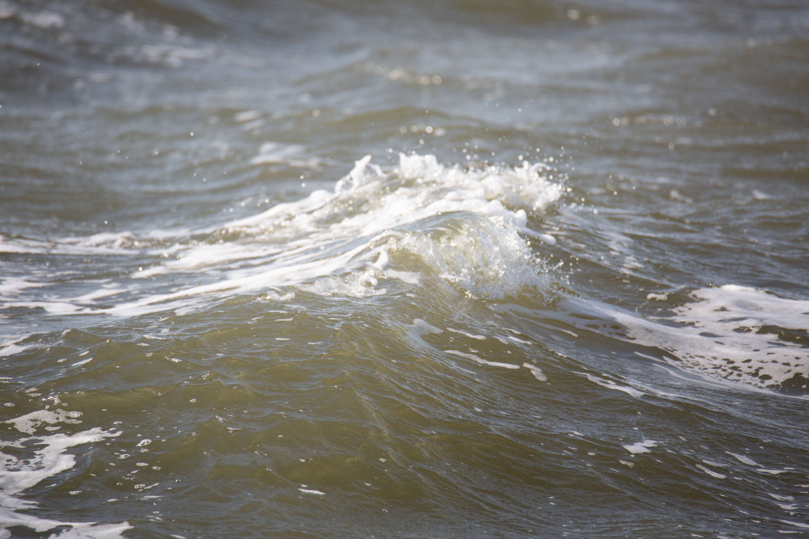 Inselklima-nordsee-asthmatiker-allergiker-geeignet